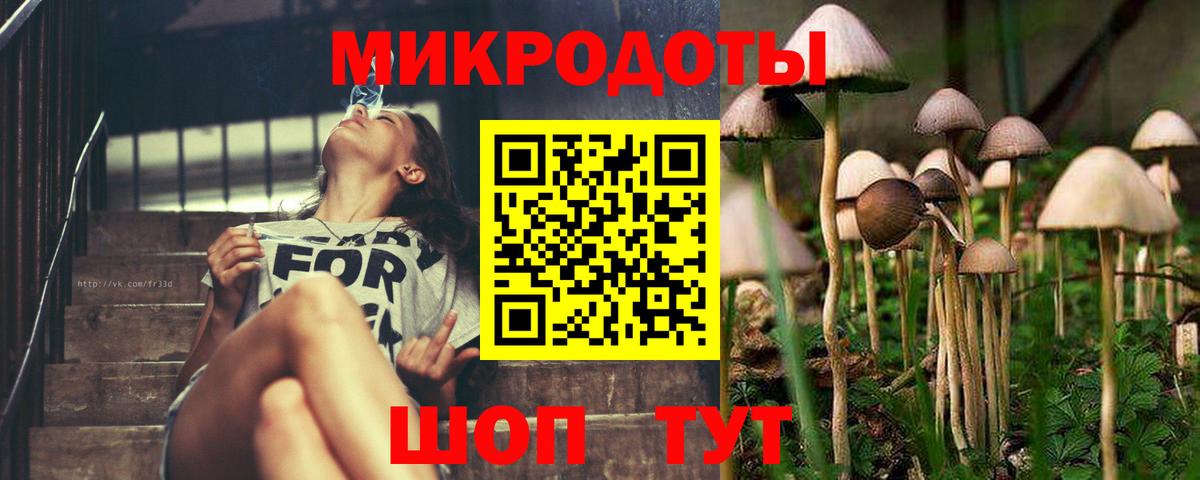 Галлюциногенные грибы Magic Shrooms  Псилоцибиновые грибы Psilocybe  Ковров  Вход с VPN 
